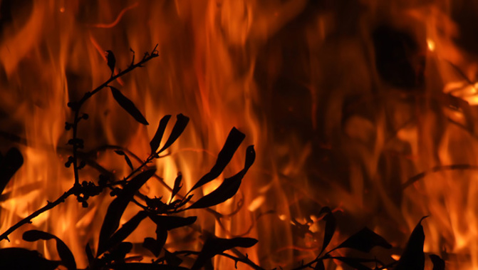 DOC believes a large bush fire in the back of Canterbury's Big Ben Range at the weekend was deliberately lit (File photo)