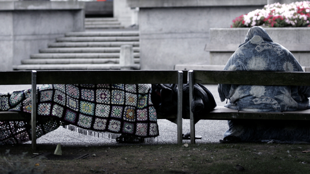 Labour, the Greens and the Maori Party decided to hold their own inquiry into homelessness after National MPs voted against holding one. Photo / Supplied