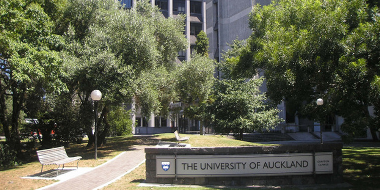 Auckland University leads the Kiwi contingent in 81st place. Photo / File.