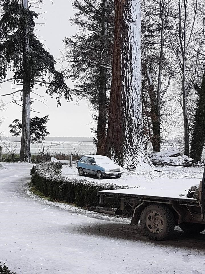 Freezing temperatures in the Alford Forest Area (Debbie Simmons) 