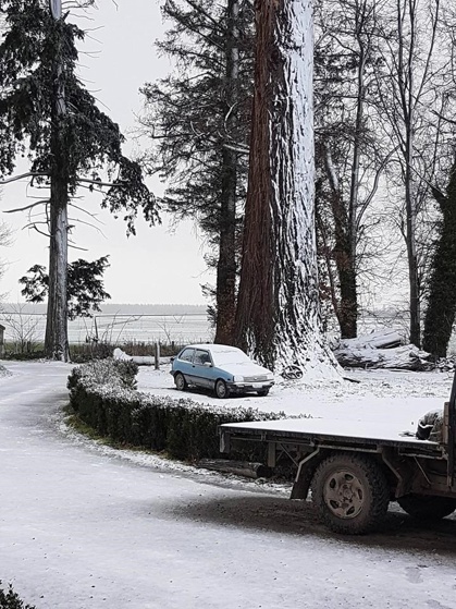 Freezing temperatures in the Alford Forest Area (Debbie Simmons)