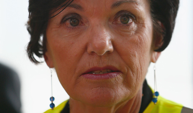 Anne Tolley (Getty Images)