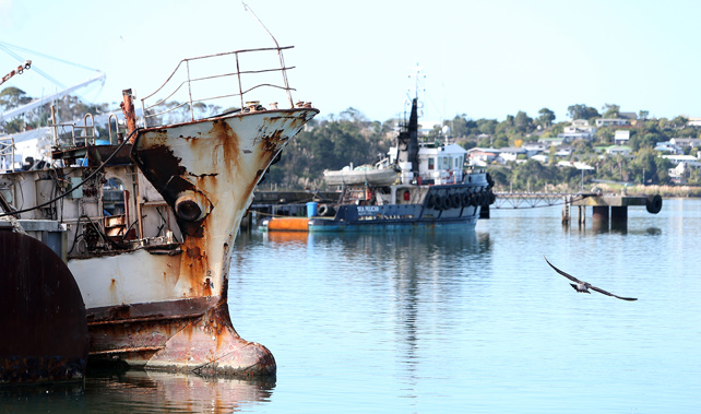 Trawlers at Port Nikau (NZME.)