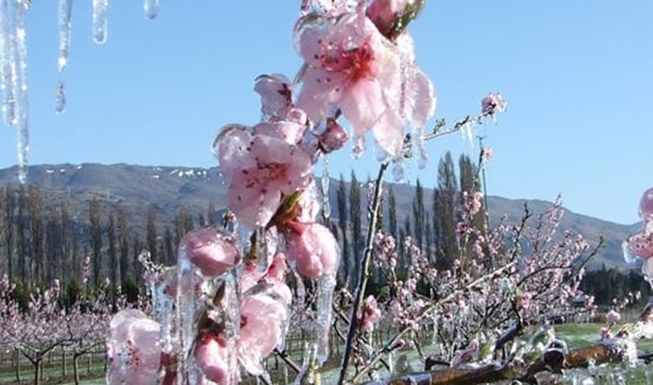 Jacque Tucker: Put some Spring in your step