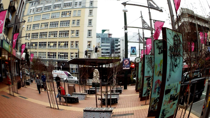 Wellington's Inner City Residents Association is calling for the number of CCTV cameras in the city to be doubled (Georgina Campbell)