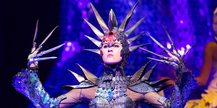 Gillian Saunders' award-winning creation Supernova (Photo / NZ Herald)