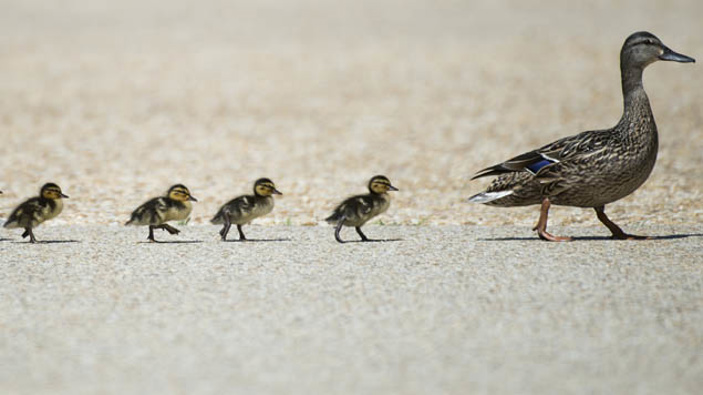 (Photo / Getty Images)