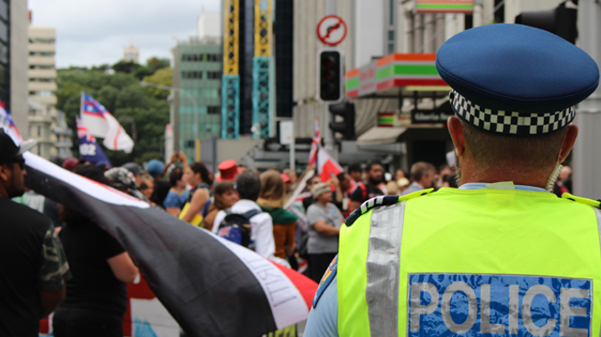 Police at TPP protests (Alex Braae).