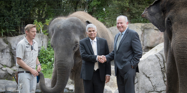 Visiting Sri Lanka Prime Minister Ranil Wickremesinghe made a trip to Auckland Zoo today amid an international stoush over an elephant (Photo / NZ Herald)