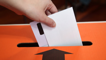 Perspective with Heather du Plessis-Allan: Will cutting councils fix our abysmal voter turnout?