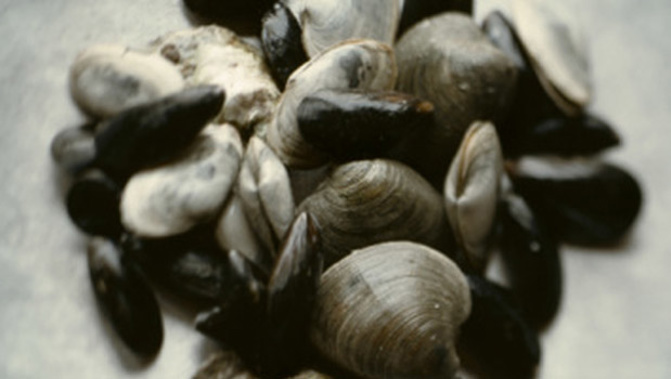 Canterbury District Health Board is warning people to not eat shellfish from the coastline between Motunau Beach and Akaroa Harbour. (Getty Images)