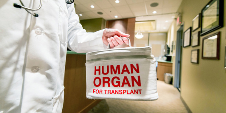 National MP Chris Bishop's Bill would see people who volunteer to donate an organ receive 100 percent of their normal income for up to 12 weeks while they recover from their operation (Photo / Getty Images)