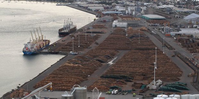 The MV Molat, which is carrying more than 23,000 tonnes of PKE, has been moored off the Tauranga coast since September 6 after it was refused permission to dock (Photo / File)