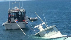 (Photo / Kim Francis)