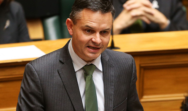 Greens co-leader James Shaw (Getty Images) 