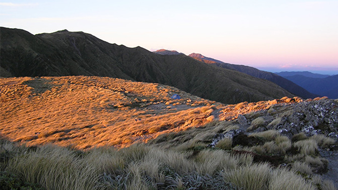 Three people have been rescued from the Tararua Forest Park (Wikimedia). 