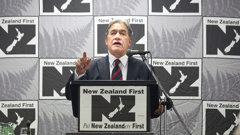 NZ First leader Winston Peters (Photo / NZ Herald)