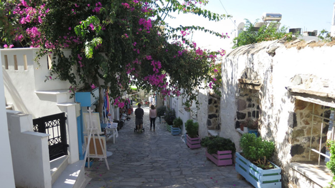 Bougainvillea abound in Naxos, Greece (Mike Yardley).