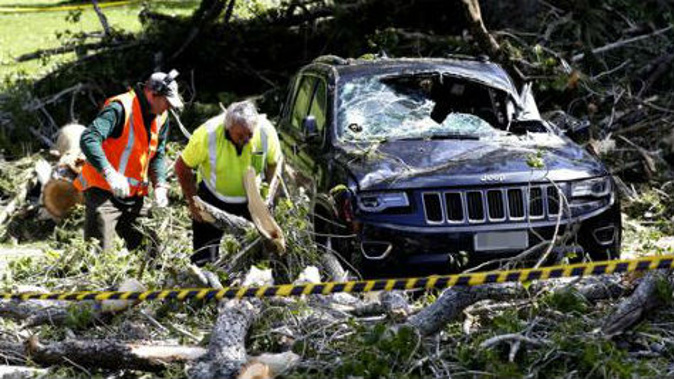 Workmen clean up after a large tree crushed multiple cars in Cornwall Park. (Dean Purcell)