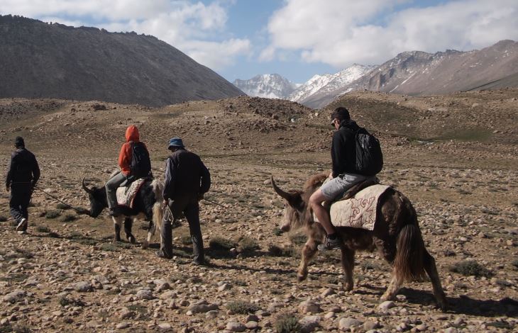Warnaar is one of the first to be in the yak wool niche, after crowd-funding over $50,000 to manufacture the garments (Photo Supplied)