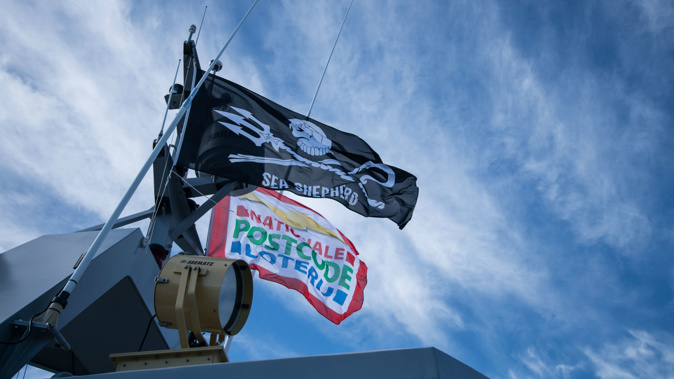 Photograph: Nelli Huié/Sea Shepherd Global