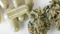 Customs has updated its guidelines around cannabis-based products, just a week after a loophole was identified in the law (File photo)