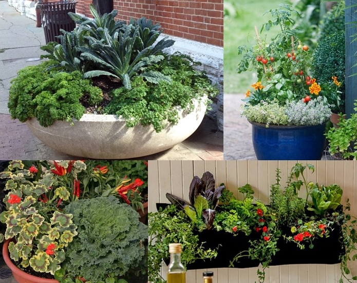 Jacque Tucker: Cheap tricks for Christmas