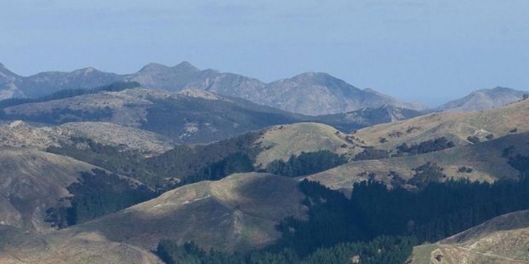 A body has been located in the Tora bush, believed to be that of a missing hunter. Photo / Wairarapa Times Age