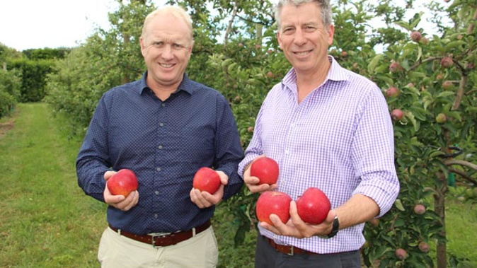 Prevar Commercial Manager Snow Hardy (left) and Fruitcraft Manager Steve Potbury (right) with Dazzle apples (supplied) 