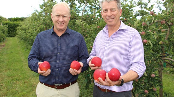 Prevar Commercial Manager Snow Hardy (left) and Fruitcraft Manager Steve Potbury (right) with Dazzle apples (supplied)