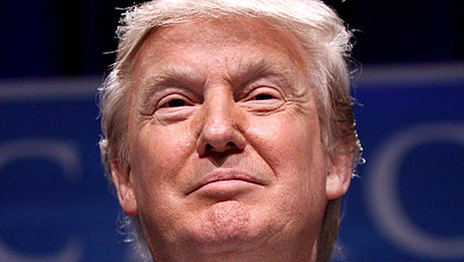 Reality star turned President of the US is Rachel Smalley's story of 2016 (Wikipedia).