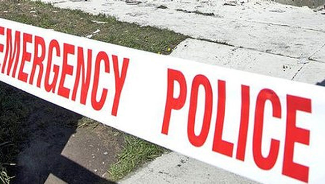 A two-year-old girl has died in a Waikato driveway