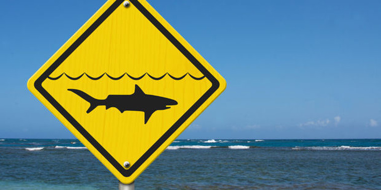 Helicopters will be deployed along Victoria's coast again today, to patrol popular beaches as shark sightings continue. (123RF)