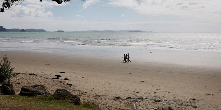 Three pitbulls attacked a dog on Orewa Beach this evening. (NZ Herald/File)