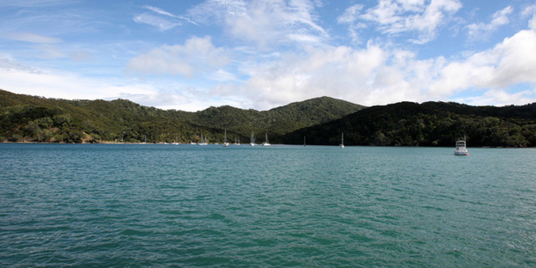  A fisherman who was missing near Great Barrier Island, northeast of Auckland, has been found dead on his boat. (Wayne Drought)