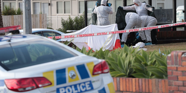 (Image: Brett Phibbs)