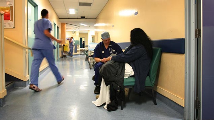 Photo / Kenny Rodger