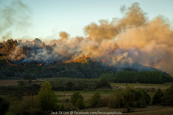 An explosive fire that's ripped through and destroyed four homes in the Coromandel is still burning. (Jack TK Lee)
