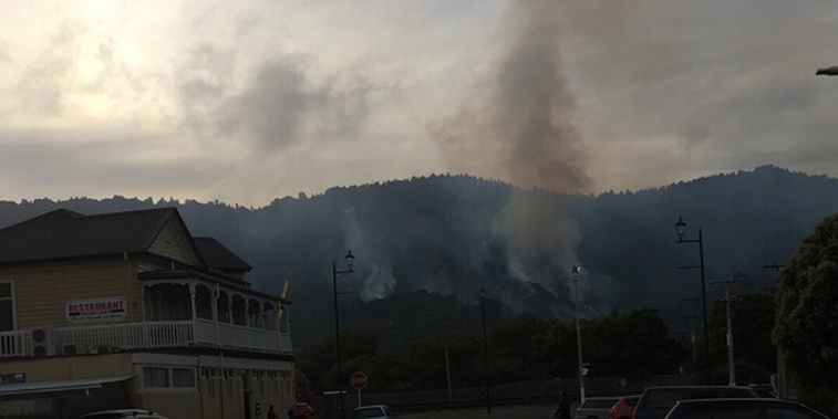 Two helicopters and 11 fire crews are battling the blaze in Ngaruawahia (Supplied via Jamie Wilson)