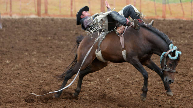  Photo/Michael Cunningham