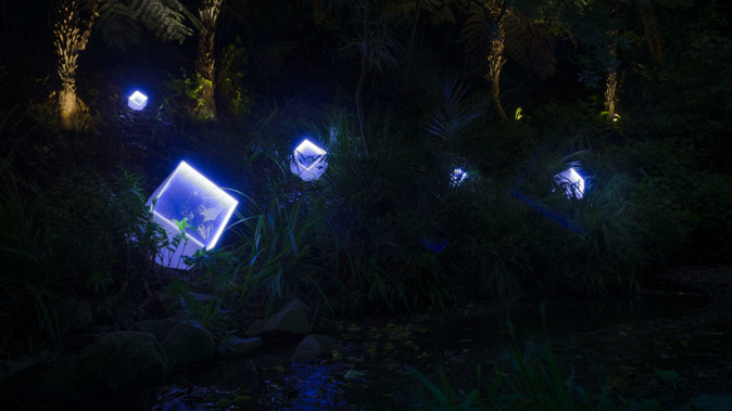 This picture shows the student light installation, 'Void' (Supplied)