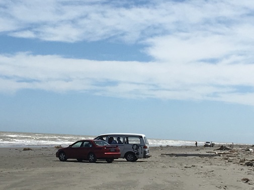 Those caught driving unlawfully on the beach could face $750 fines as the Kapiti Coast District Council cracks down on the growing problem (Photo supplied)