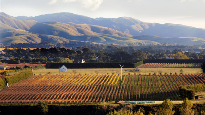 Martinborough landscape (Supplied)