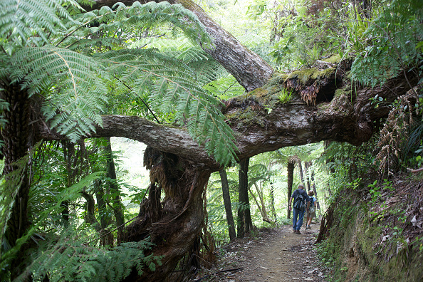 Photo / File | Getty