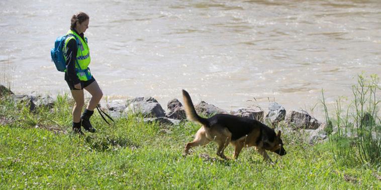 A police officer and her dog search the bank of the swollen Hutt River at the Belmont Domain, near where Rory Smith went missing. Photo / Mark Mitchell