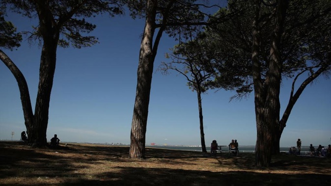 Visitors sit under the shade of a tree at Botany Bay, Sydney.