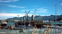 Lyttelton Port (NZH).