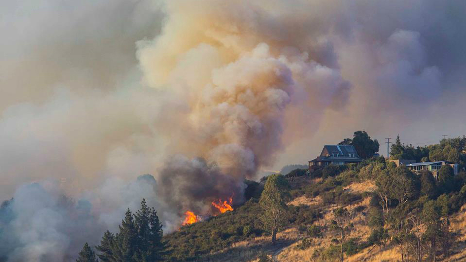 Eleven homes have been destroyed as firefighters continue to battle a fire that has been burning in Christchurch's Port Hills for more than three days. (Christchurch City Council)