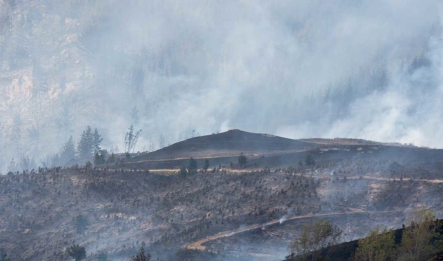 Firefighters will also be tackling the blaze from the air, working to strengthen lines separating homes from the fire zone (Getty Images) 