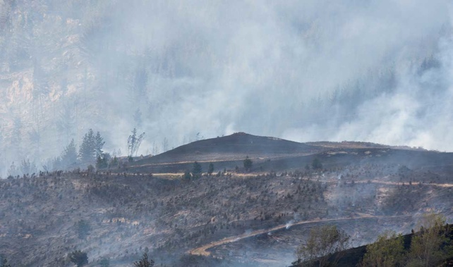 Firefighters will also be tackling the blaze from the air, working to strengthen lines separating homes from the fire zone (Getty Images)